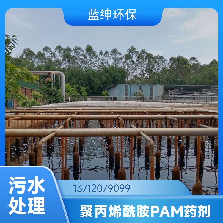 蓝绅环保 聚丙烯酰胺厂家批发 吸附能力强 库存充足