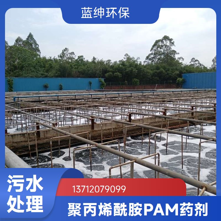 蓝绅环保 水处理净水材料 聚丙烯酰胺生产 库存充足