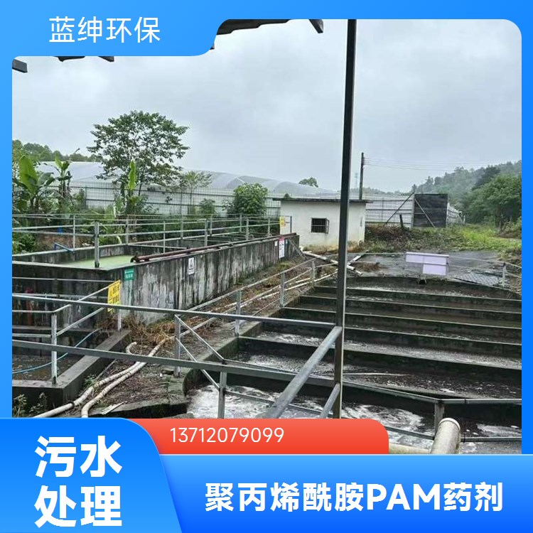 蓝绅环保 聚丙烯酰胺价 格 污水处 理 优质材料应用广泛 库存充足