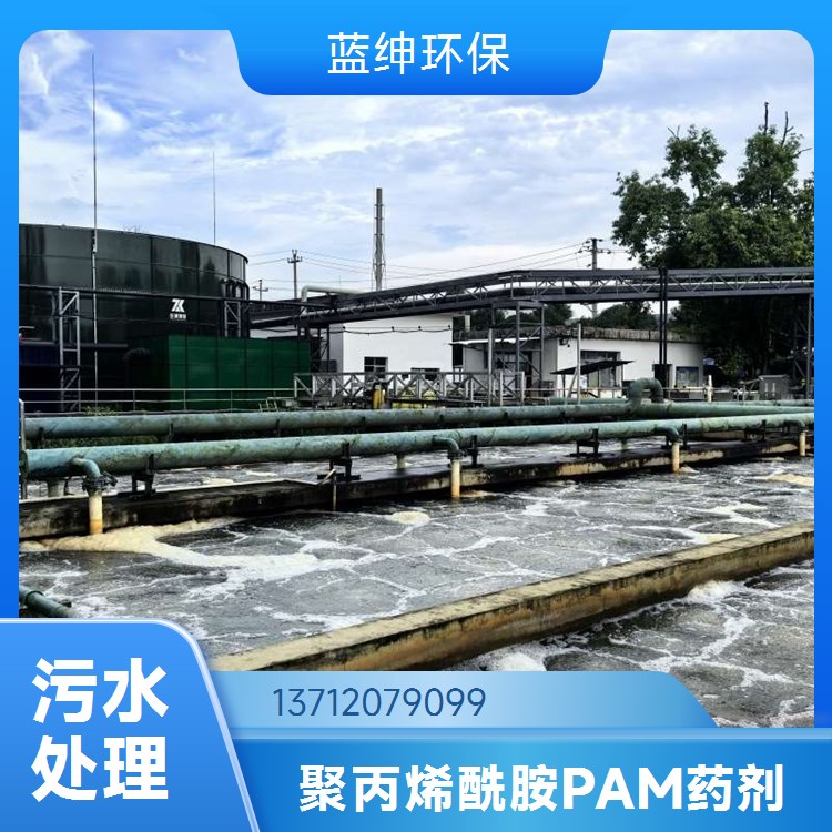 蓝绅环保 污水处理剂 聚丙烯酰胺价 格 沉淀速度快 稳定性良好