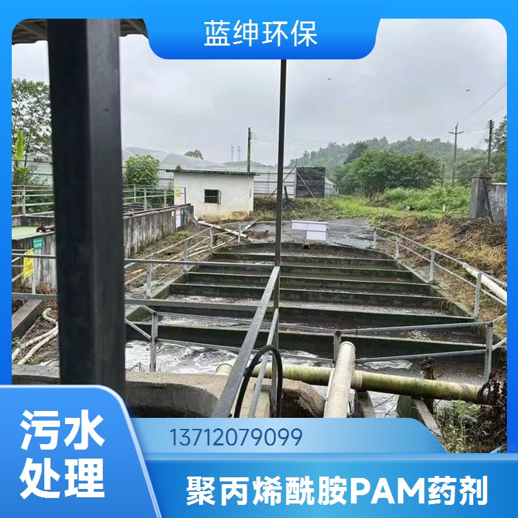 蓝绅环保 聚丙烯酰胺 有效成分高 一站式供应服务