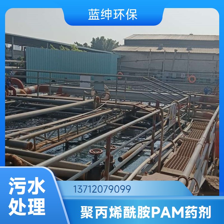 聚丙烯酰胺生产厂家 蓝绅环保 用于处理城市污水 吸附能力强 工厂发货