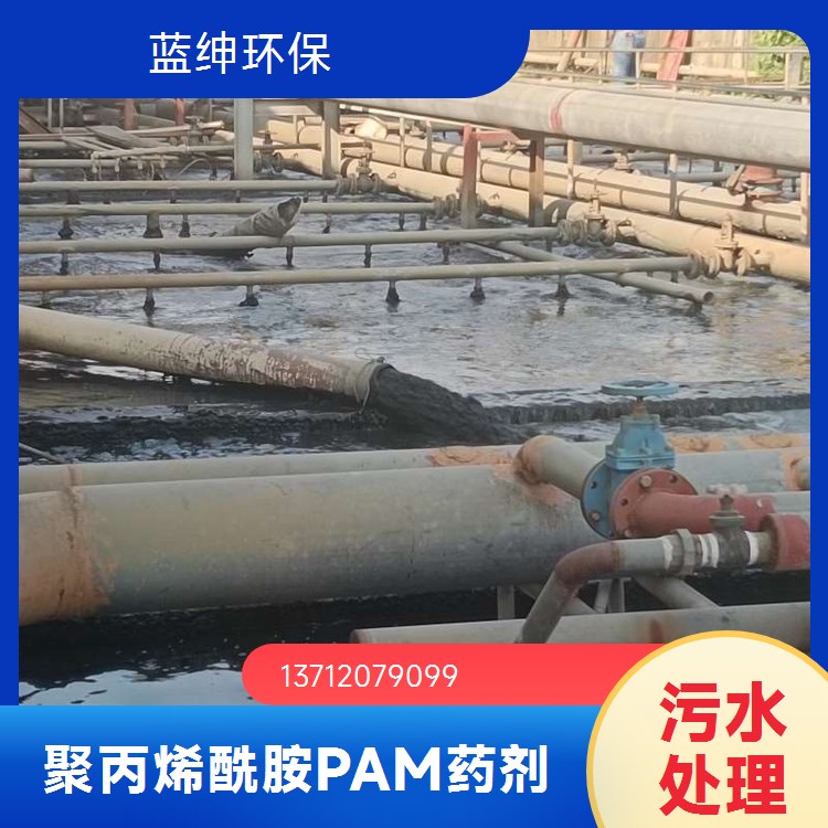污水处 理专用 离子型聚丙烯酰胺 蓝绅环保 优质材料应用广泛 库存充足