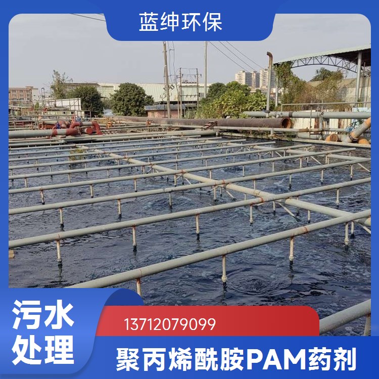 蓝绅环保 污水处 理专用 聚丙烯酰胺 溶解速度快 使用范围广