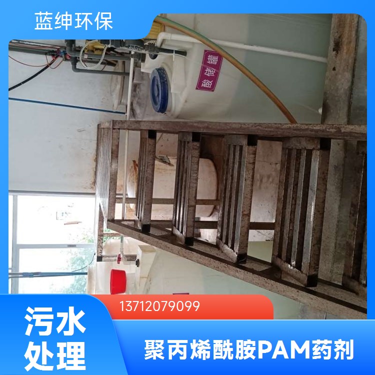 蓝绅环保 污水处理专用 聚丙烯酰胺 优质材料应用广泛 库存充足