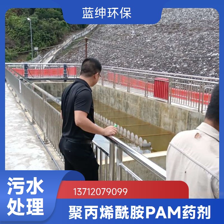 聚丙烯酰胺生产厂家 蓝绅环保 用于处理城市污水 溶解速度快 库存充足