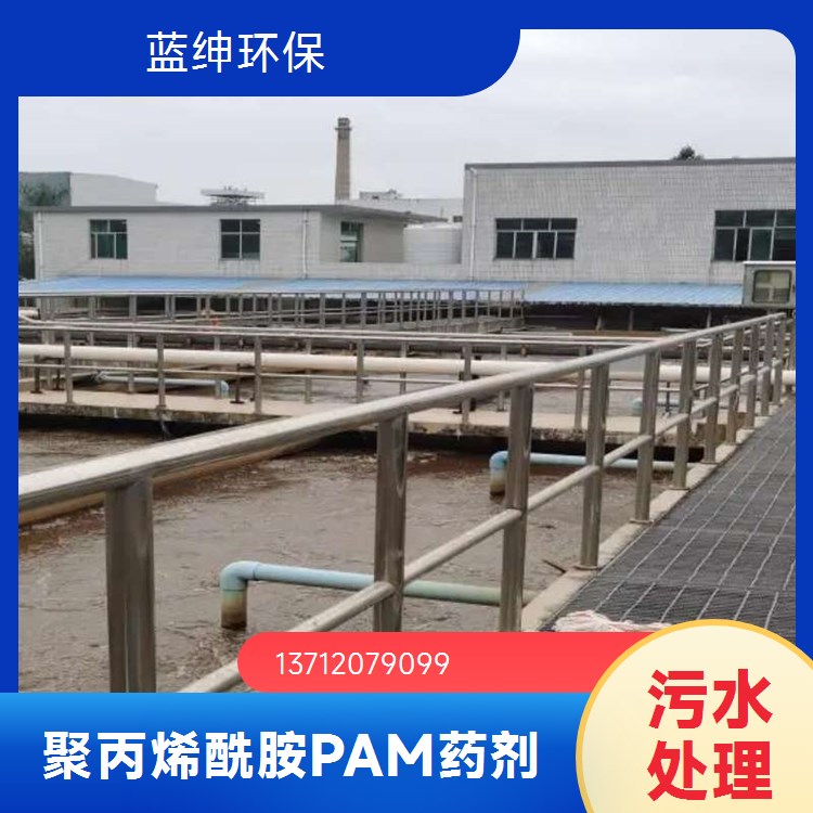 蓝绅环保 白色粉粒 聚丙烯酰胺粉末 量大从 优快速发货 使用范围广