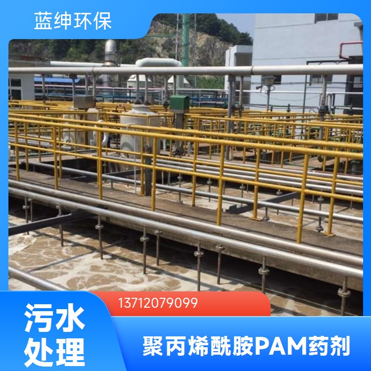 蓝绅环保 污水处 理专用 水处理聚丙烯酰胺 溶解性高