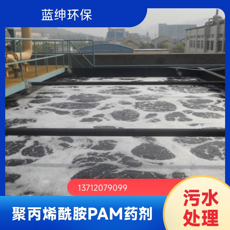 蓝绅环保 水处 理净水材料 聚丙烯酰胺生产 有效成分高