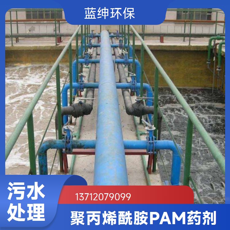 工业级聚丙烯酰胺 有效成分高 污水处理专用 蓝绅环保 工厂发货