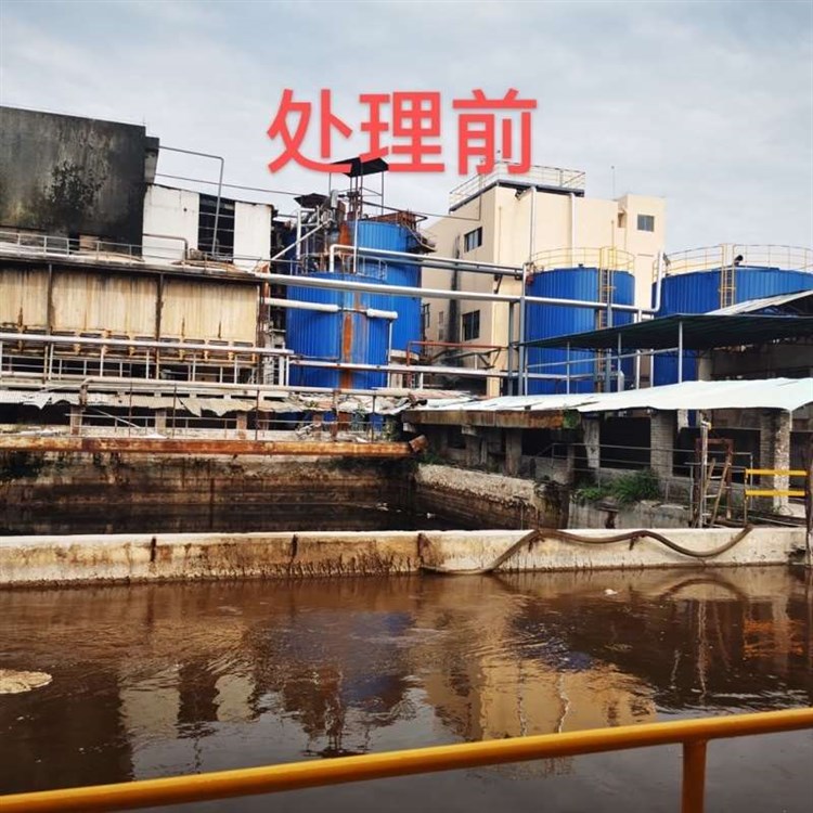 蓝绅环保 污水净化絮凝剂 离子型聚丙烯酰胺 一站式供应服务
