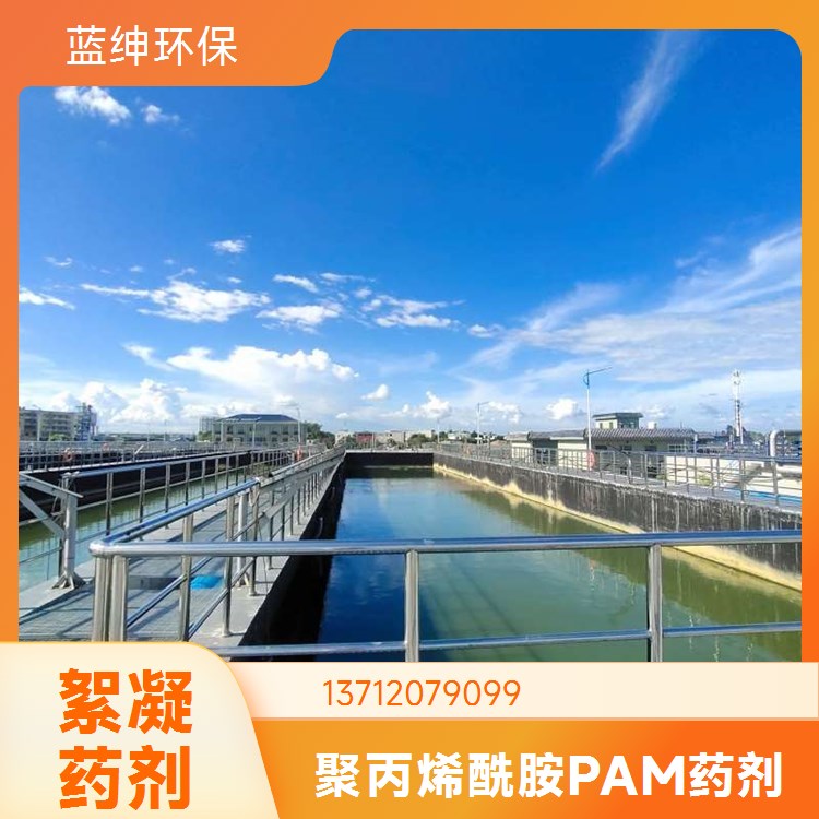 蓝绅环保 高效絮凝剂 工业级 聚丙烯酰胺 快速溶解 库存充足