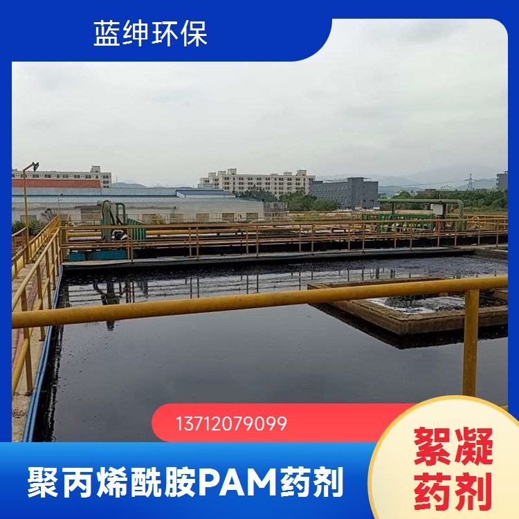 污泥脱水剂 工业级 聚丙烯酰胺 含量高 厂家直售 蓝绅环保
