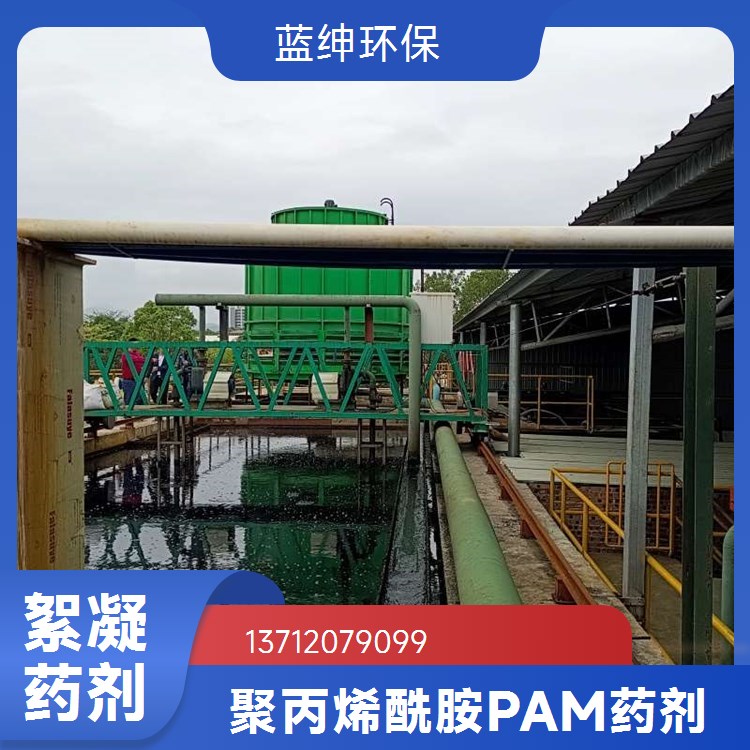 蓝绅环保 污水处理药剂 工业级 聚丙烯酰胺 含量高 专业生产