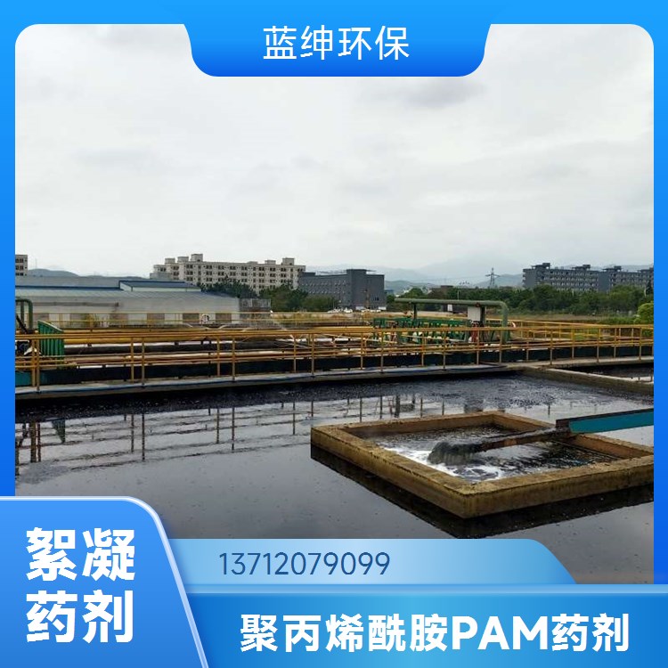 蓝绅环保 污水沉淀剂 工业级 聚丙烯酰胺 含量高 厂家直售