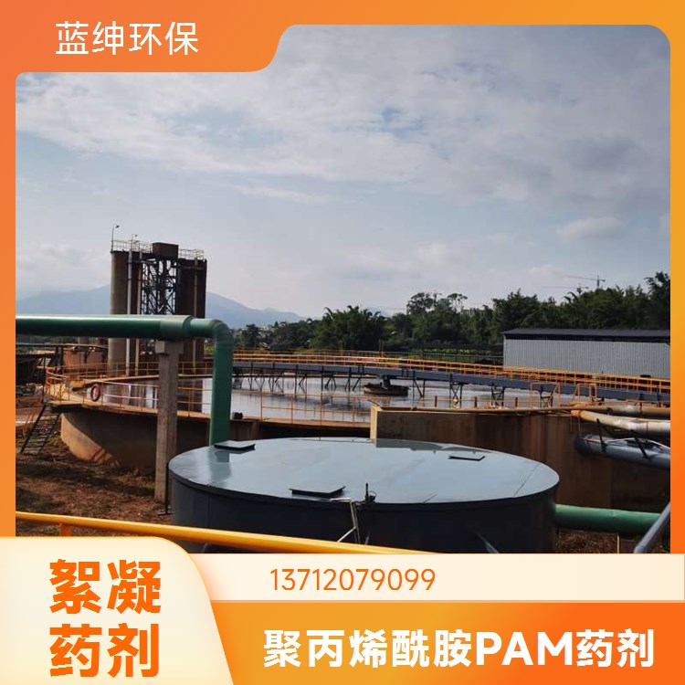 蓝绅环保 专用水质澄清 工业级 聚丙烯酰胺 过滤型好 生产厂家