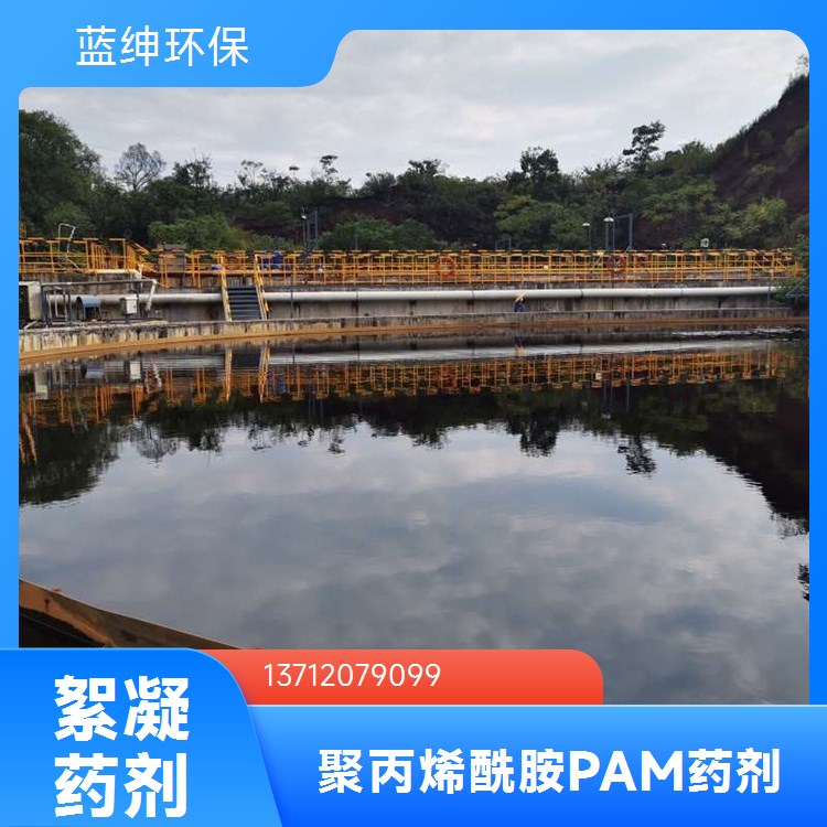洗沙洗煤厂污水处理 工业级 聚丙烯酰胺 过滤型好 生产厂家 蓝绅环保