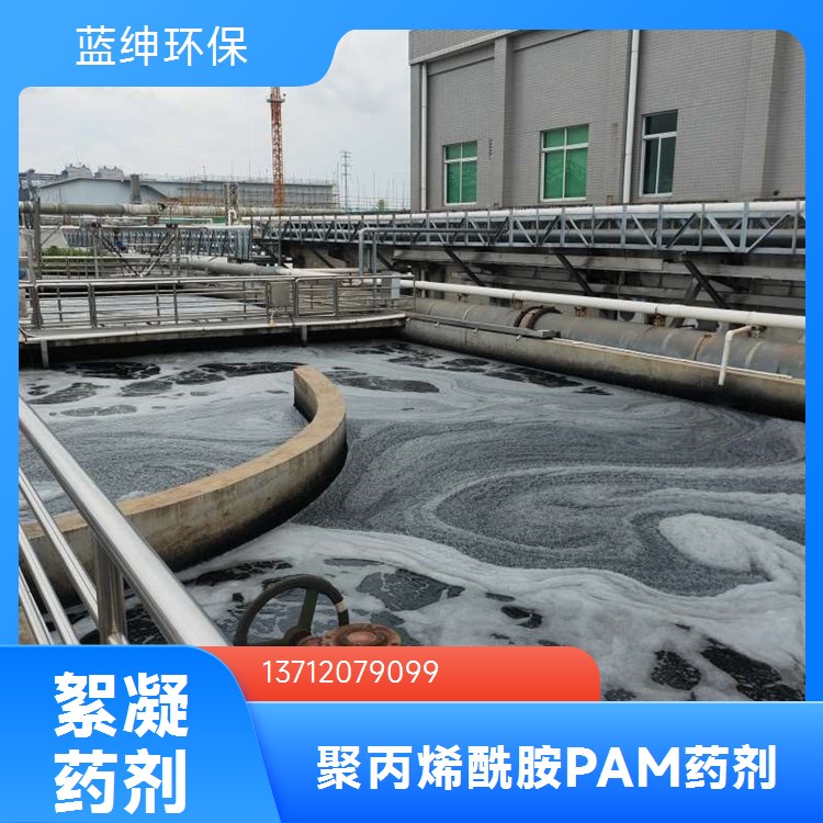 污泥脱水剂 工业级 聚丙烯酰胺 过滤型好 厂家直售 蓝绅环保