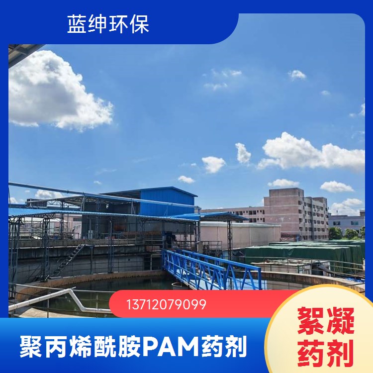 蓝绅环保 阴阳非离子絮凝剂 工业级 聚丙烯酰胺 含量高 专业生产