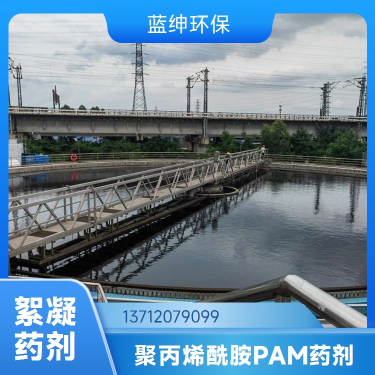 污水处理专用 工业级 聚丙烯酰胺 含量高 货源充足 蓝绅环保