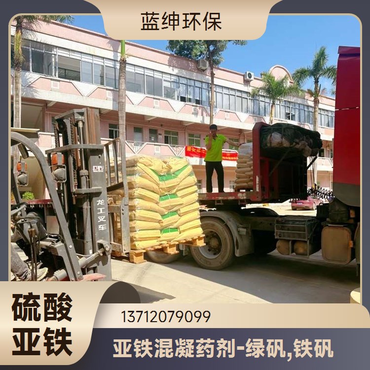 净水剂 溶液浅绿色 聚合催化剂 厂家供应 蓝绅环保