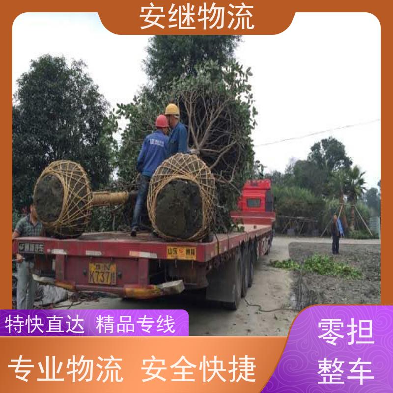 浙江安继 绍兴到绥芬河物流公司 零担整车 特快托运 一站式服务