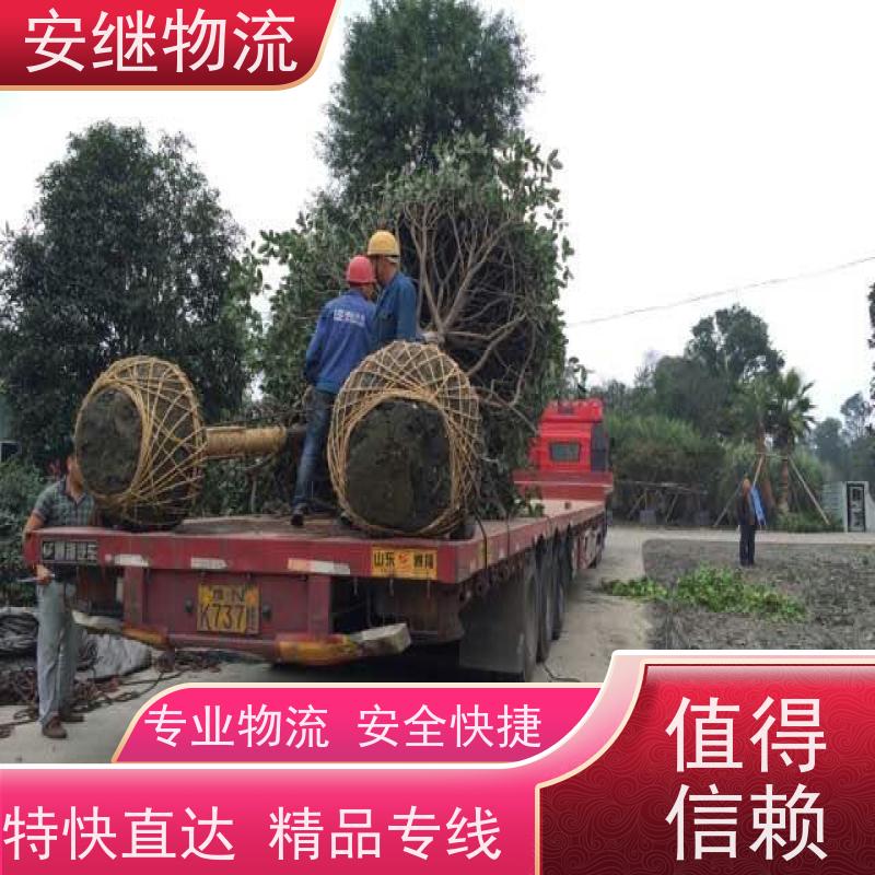 浙江安继 绍兴到酒泉物流公司 快运直达 精品专线 一站式服务