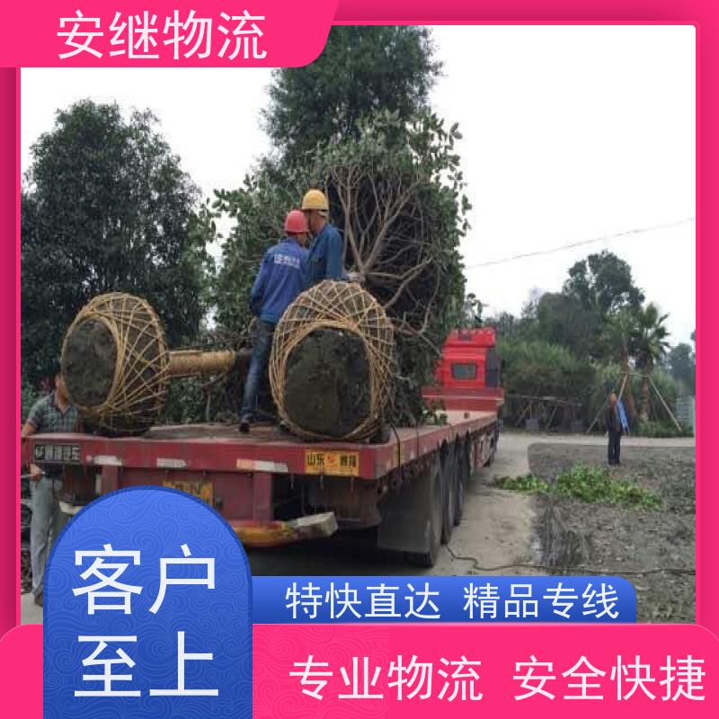 浙江安继 绍兴到西昌物流公司 零担整车 特快托运 一站式服务