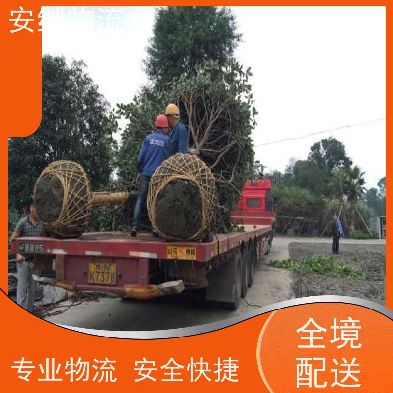 绍兴安继物流提供 上虞直达到麻城专线货运大件运输公司 
