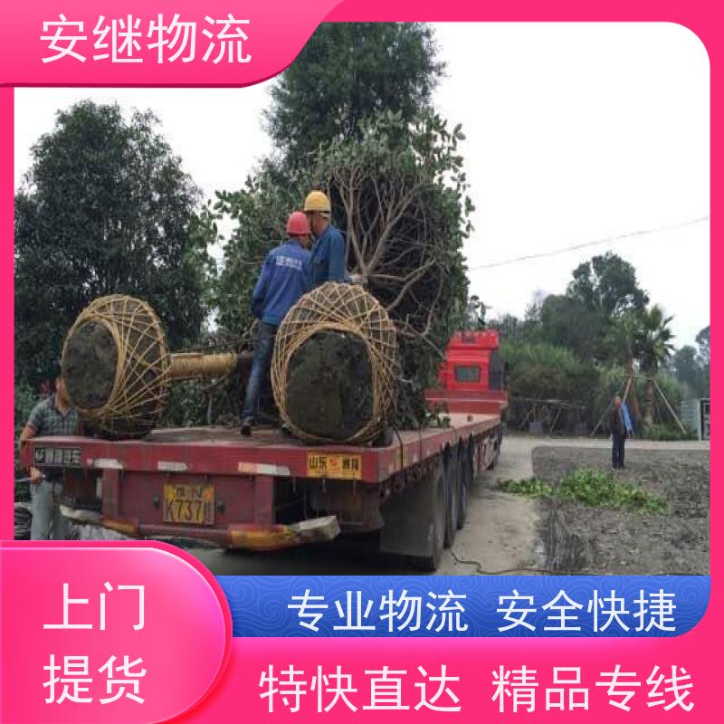 绍兴安继物流 承接 上虞直达到顺德专线 货运大件运输公司 