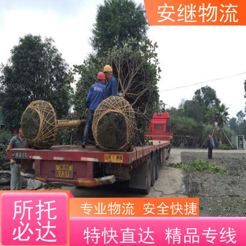 浙江安继物流提供绍兴诸暨直达信宜专线大件特快运输货运公司 