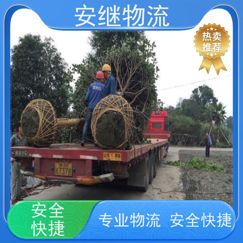 绍兴安继 提供 柯桥到绥芬河物流公司 上门提货 全境配送 大件运输 直达