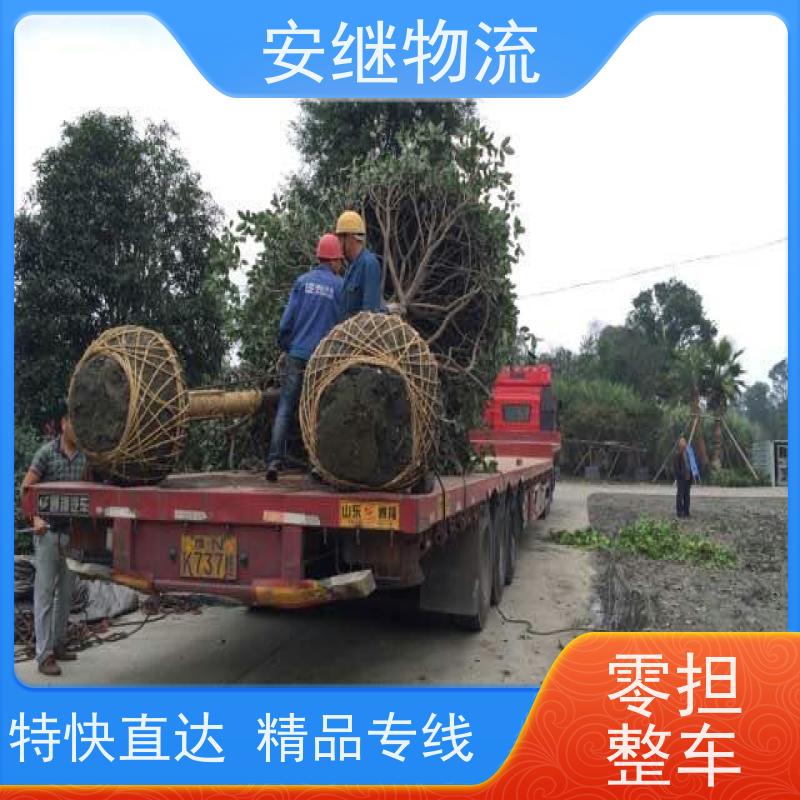 绍兴安继 提供 柯桥到喀什物流公司 所托必达 货运专线 全国往返 快运
