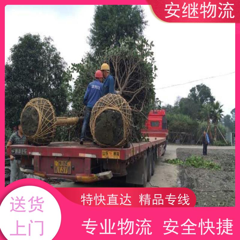 绍兴安继 提供 柯桥到牡丹江物流公司 上门提货 全境配送 大件运输 直达