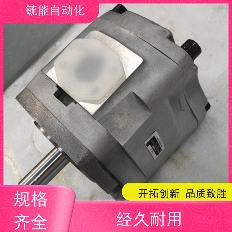 手提式电动抽油泵220v齿轮机油泵高粘度油桶棒泵抽液泵汽油加油机