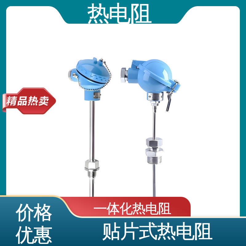 天康 WZP-131 双支热电阻 多种材料可选 实力厂家 支持定制