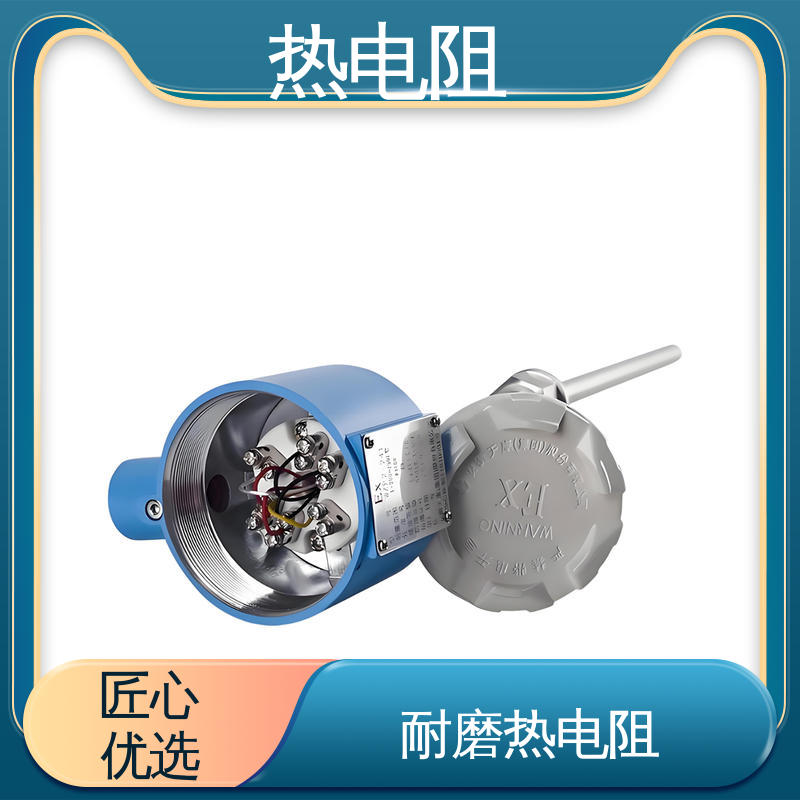 天康 WZP-231 双支热电阻 多种材料可选 厂家供应 现货充足
