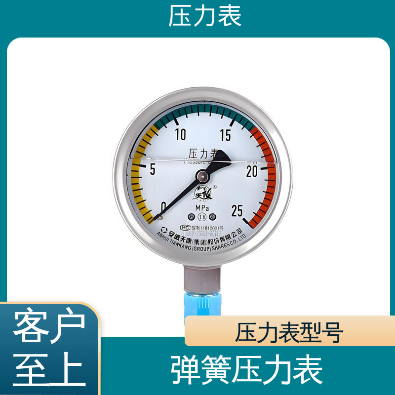 天康 YPF 系列 电子压力表 直观性强 可靠性高 实力厂家 支持定制