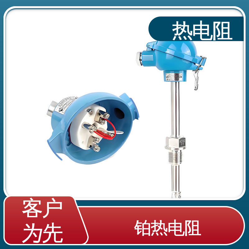 天康 WZP-130 双支热电阻 使用寿命长 厂家供应 现货充足