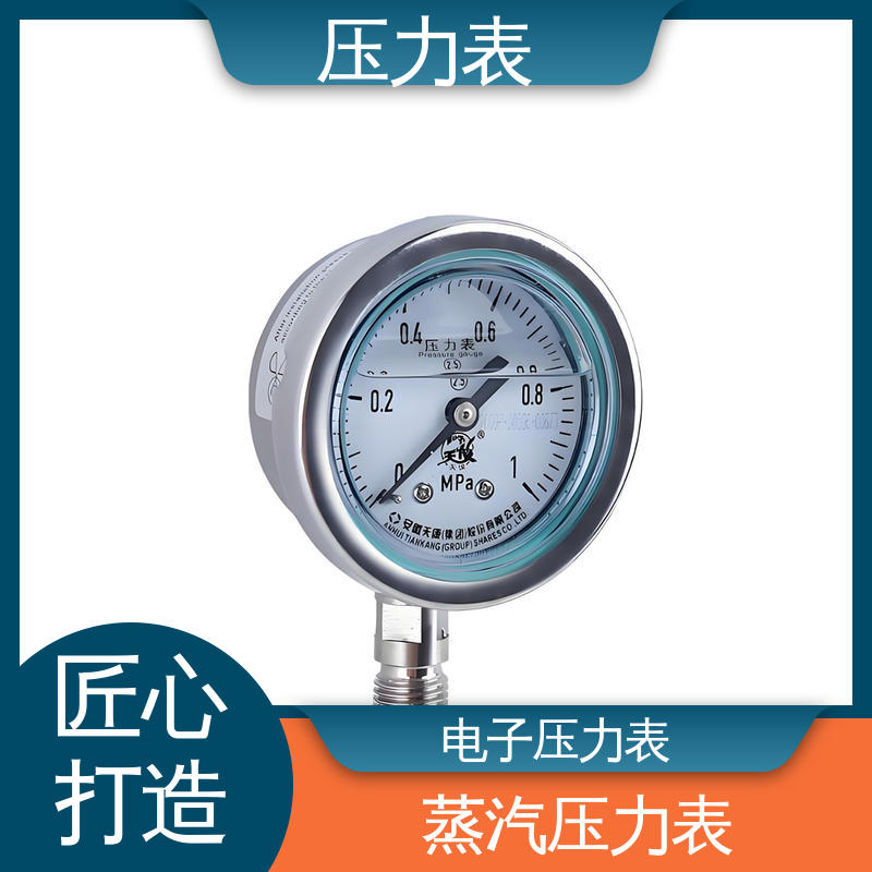 天康 Y-B 系列 径向压力表 测量范围广 实力厂家 支持定制