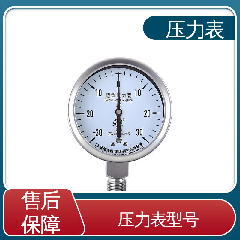 天康 YPF 系列 蒸汽压力表 精度适中 兼容性好 实力厂家 支持定制