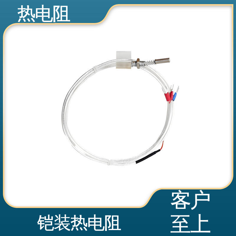 天康 WZP-131 端面热电阻 响应速度快 厂家供应 现货充足