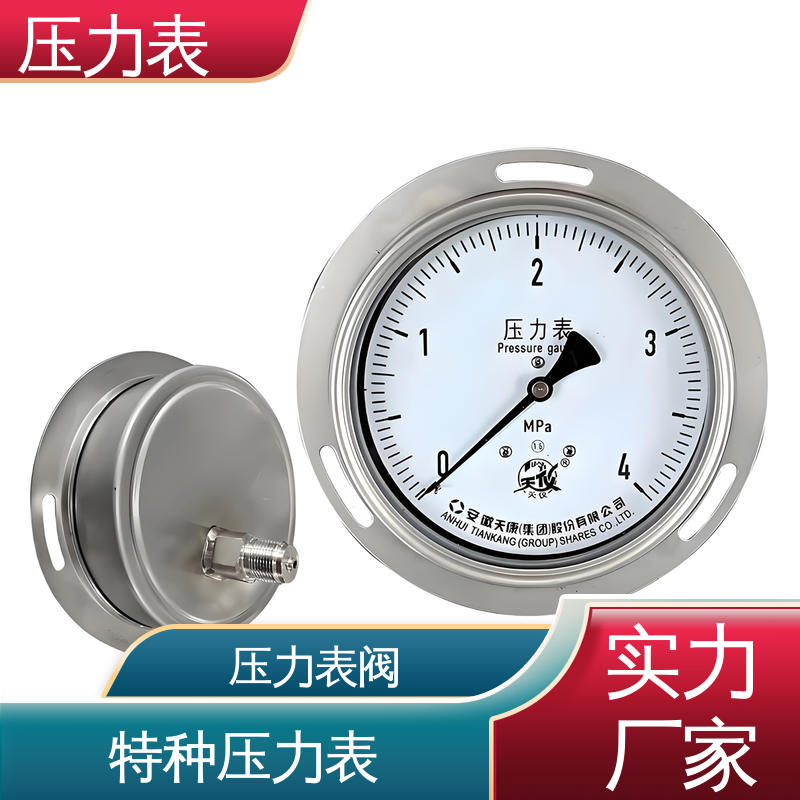 天康 Y-M 系列 抗震压力表 经济性佳 类型多样 实力厂家 支持定制