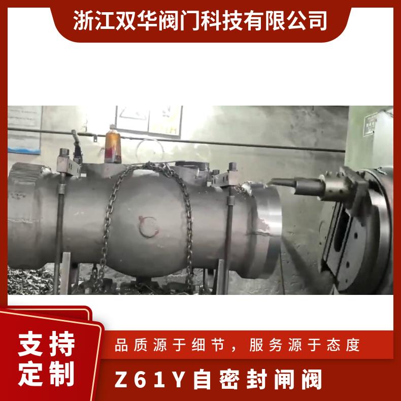双华阀门 电站用高压自密封闸阀Z61Y 适用高温蒸汽导热油 源头厂家