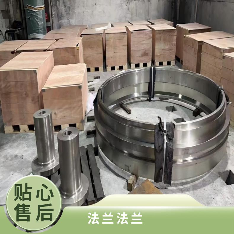哈C合金锻件法兰N0620090度弯头化工设备石油工业用
