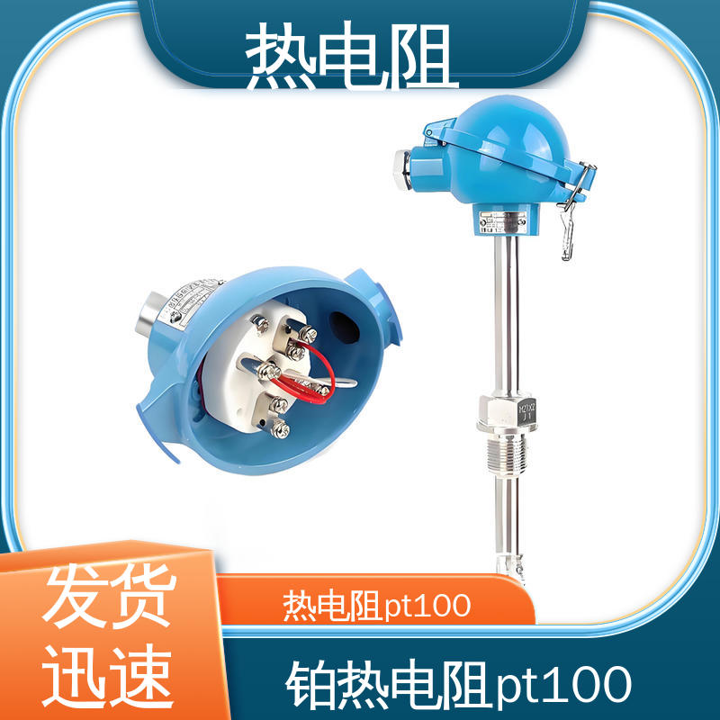 天康 WZP-231 pt100热电阻 可靠性高 实力厂家 支持定制