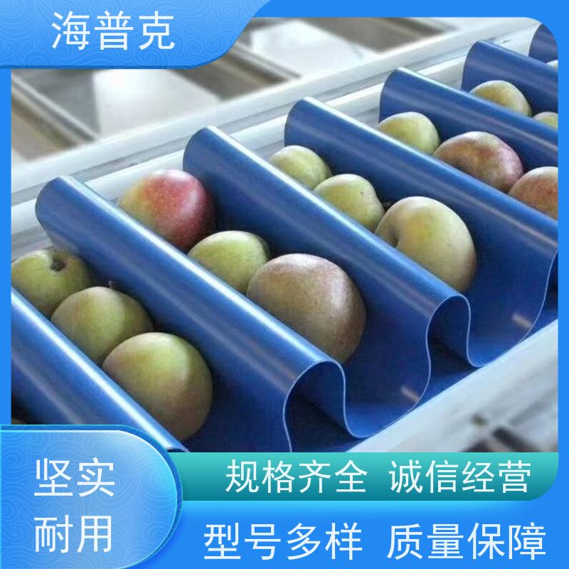 海普克 支持加工 饼干糖果生产线 流水线轻型工业 耐油输送带