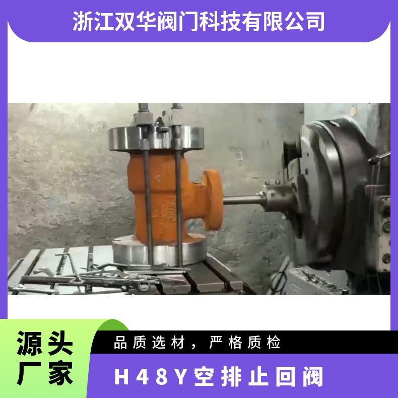 H48Y空排止回阀 防倒流电站专用 高温高压法兰连接 双华阀门