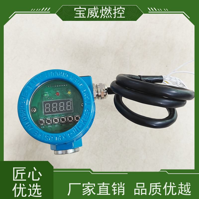 焦化厂工业锅炉火焰检测器 防爆设计 DC24V供电 双波段火检