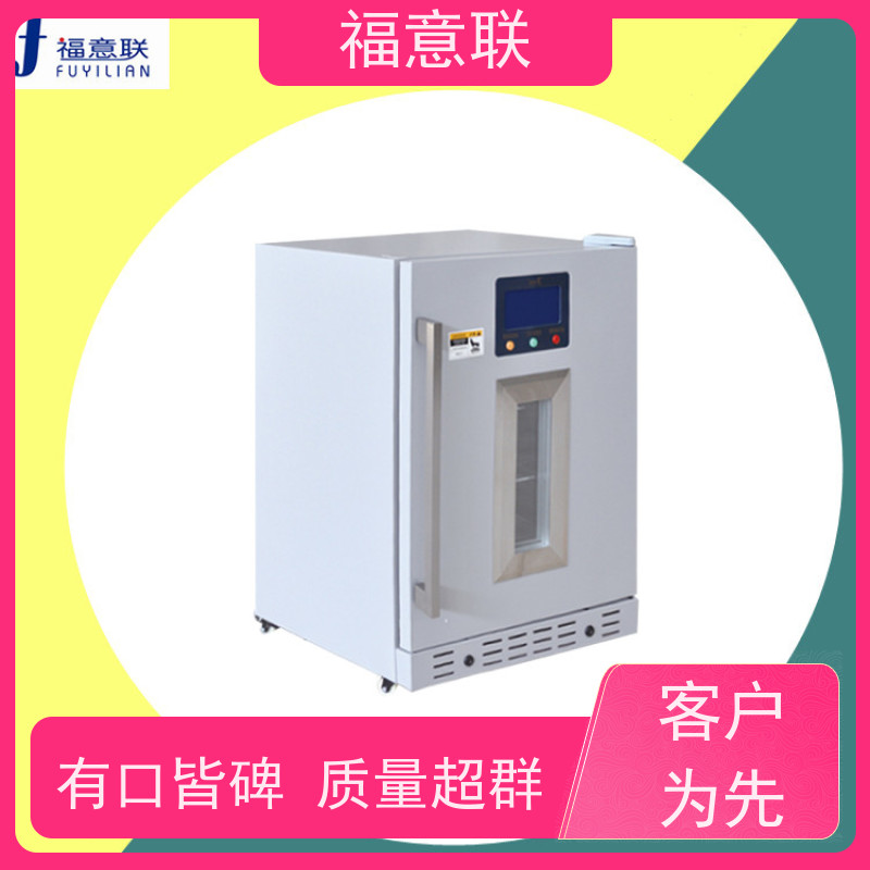 北 京福意电器 FYL-YS-430L0-100度烘箱 康复科用电热恒温箱 带观察窗